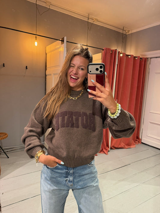 ROTATE CREWNECK SWEATER/PULLOVER  - BROWN