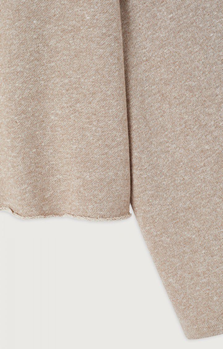 AMERICAN VINTAGE DATOWN SWEATER MELANGE LIEGEOIS